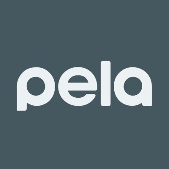 PelaCase Corporation logo