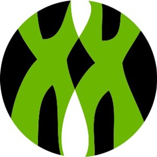 PersonalIS Inc logo