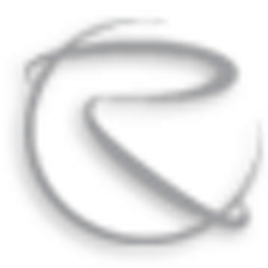 Rand Worldwide Inc logo
