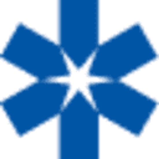 Relief International logo