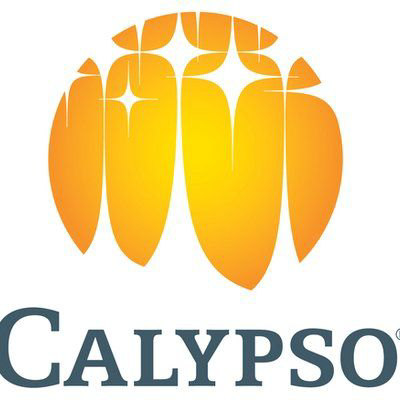 Calypso Waterpark logo