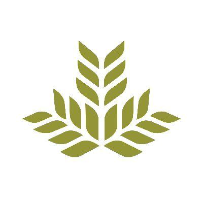 Northeast Georgia Health System logo