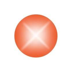Physicians Alliance of Connecticut logo