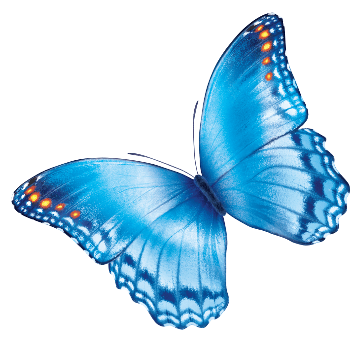 Nationwide Children's logo