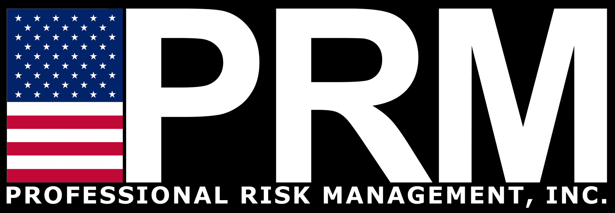 Professional Risk Management logo