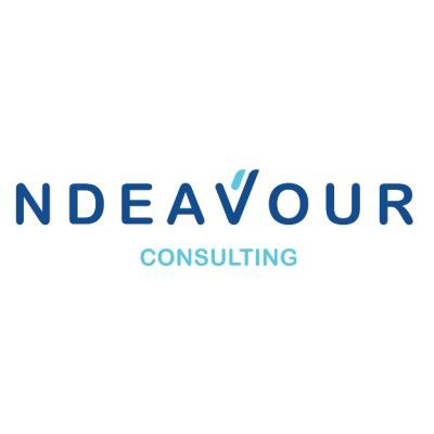 Ndeavour Consulting logo