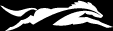 KLLM Transport Services logo