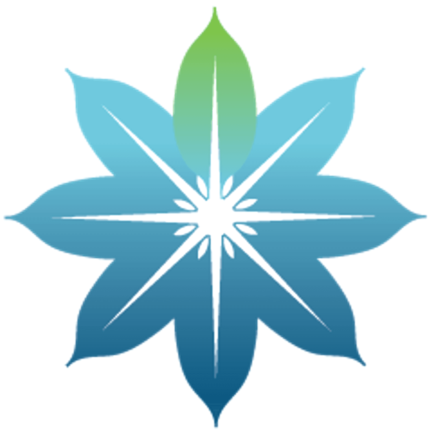 Salience TMS logo
