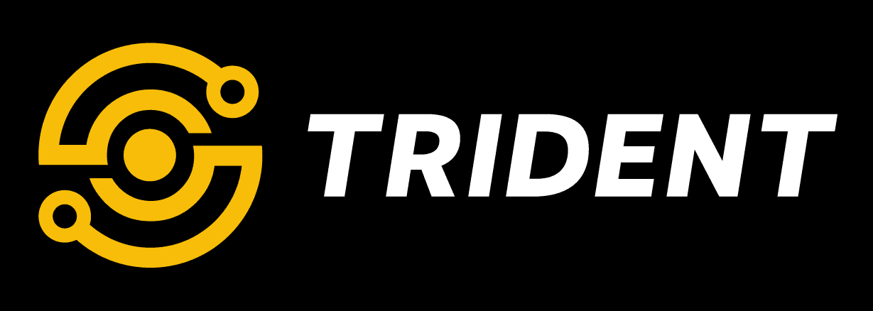 Trident Systems logo