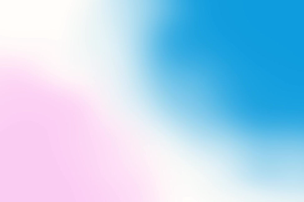 Virtual Binz logo