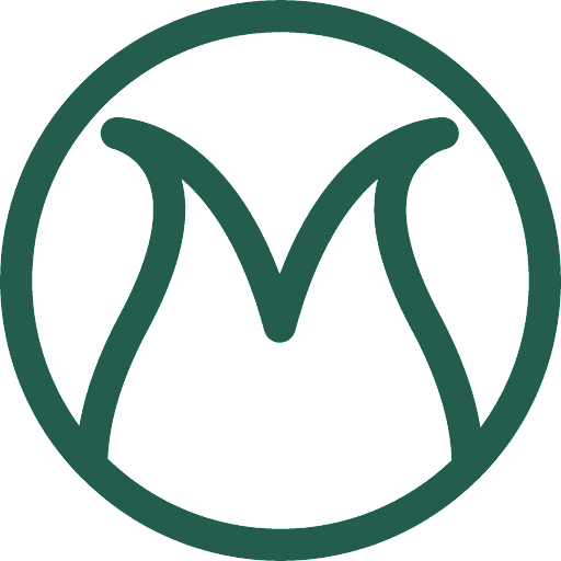 Mulilo logo