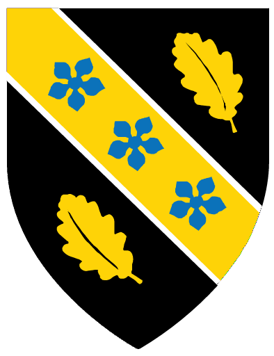 Coleg Sir Gâr logo