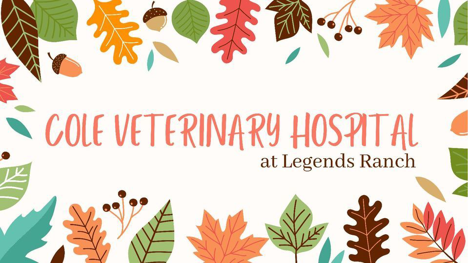 Cole Veterinary Hospital at Harmony logo