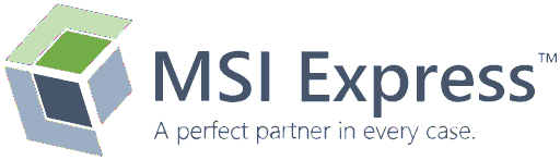 MSI Express logo