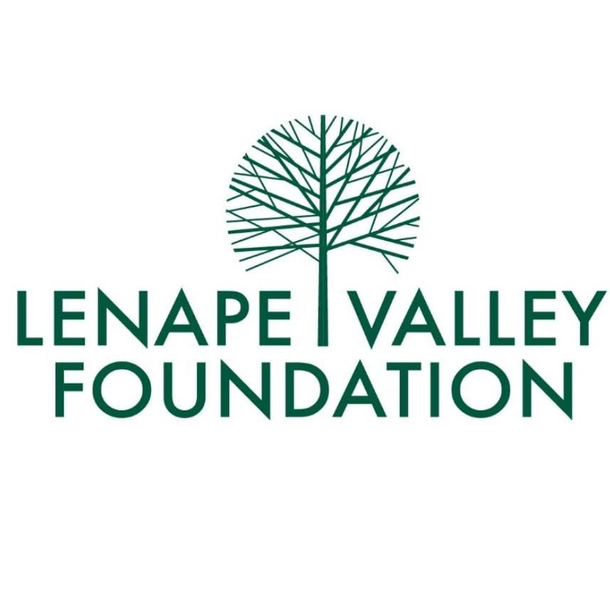 Lenape Valley Foundation logo