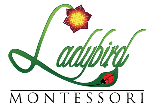 Ladybird Montessori logo
