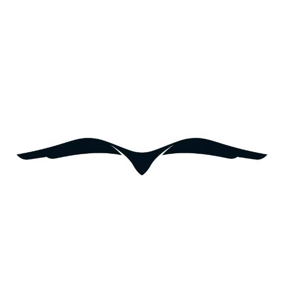 Gerando Falcões logo