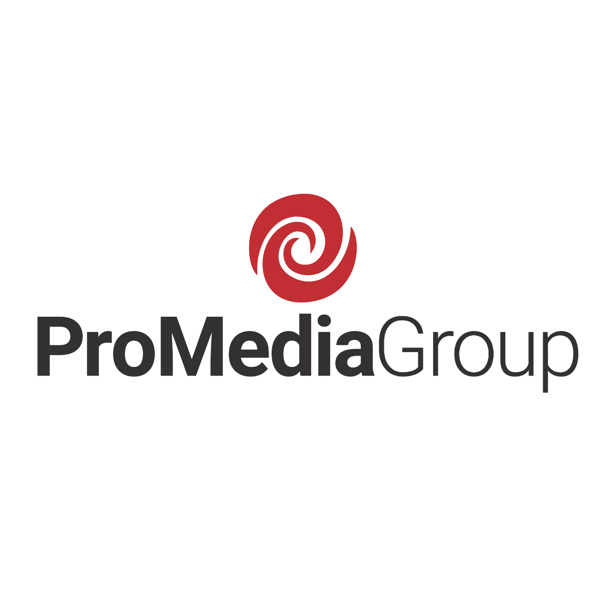 ProMedia Group logo