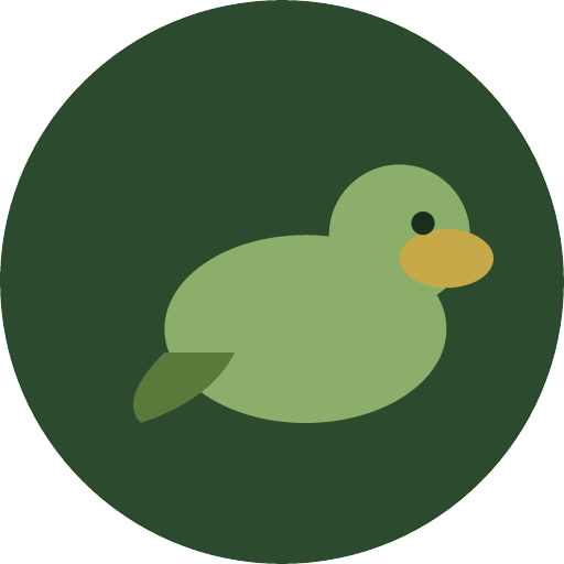 Whistling Duck logo