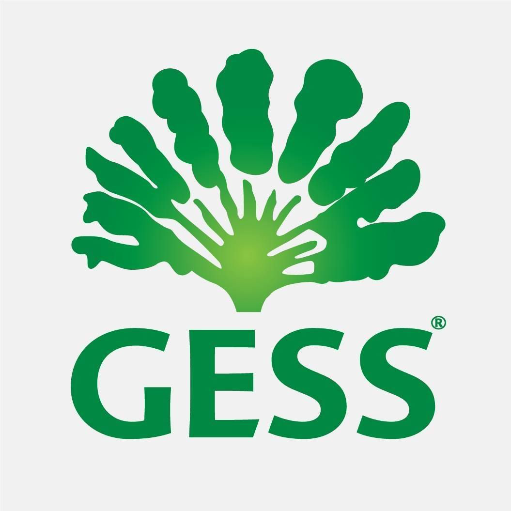 GESS logo