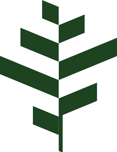 BGO logo