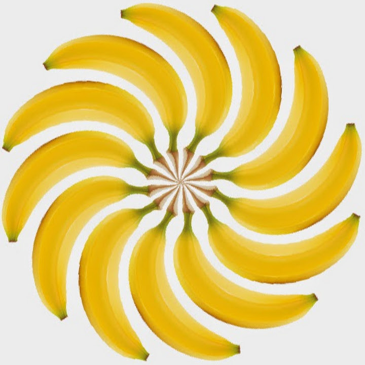 Granite Management logo