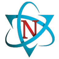 Nalley Consulting logo