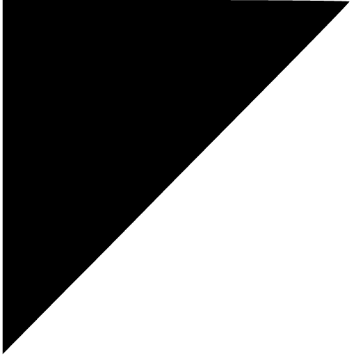Trident Trust logo