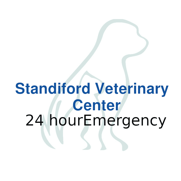 Standiford Veterinary logo