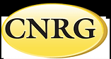 Central Network Retail Group logo