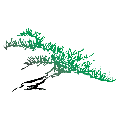 Evergreen Treatment Services logo