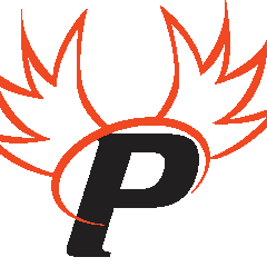 Paragon Cyber Solutions logo