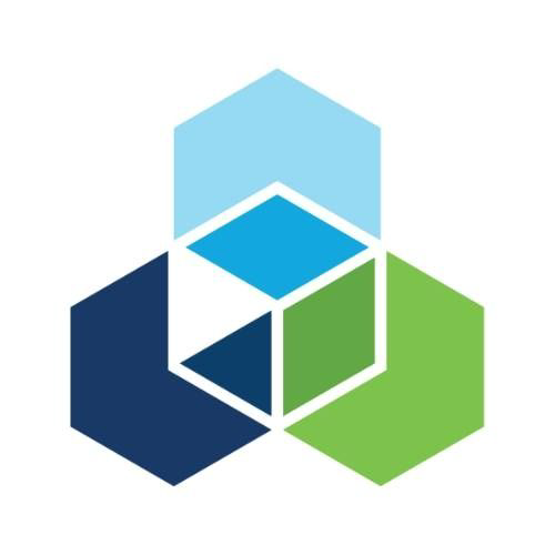 NVS Group logo