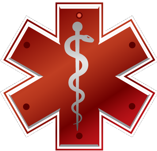 Survival Flight logo