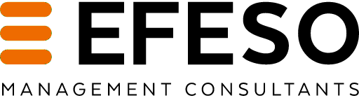 EFESO Management Consultants logo