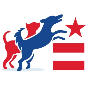 District Vet logo