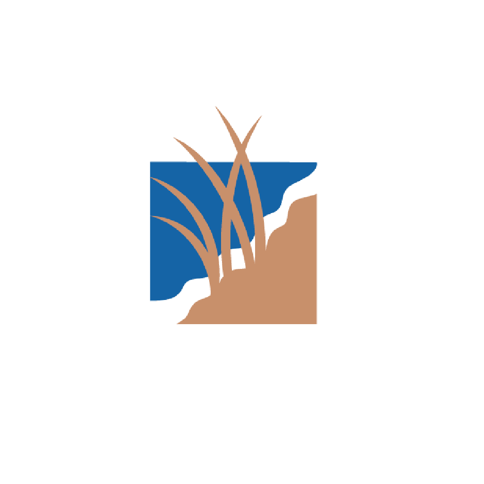 BankNewport logo