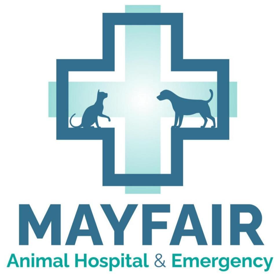 Mayfair Animal Hospital Emergency logo