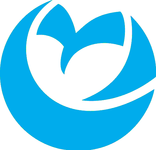 Geo Owl logo