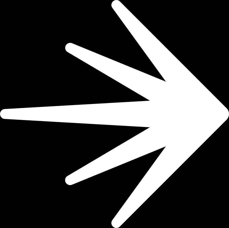 LaunchDarkly logo