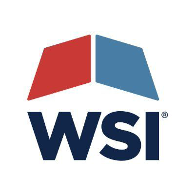WSI logo