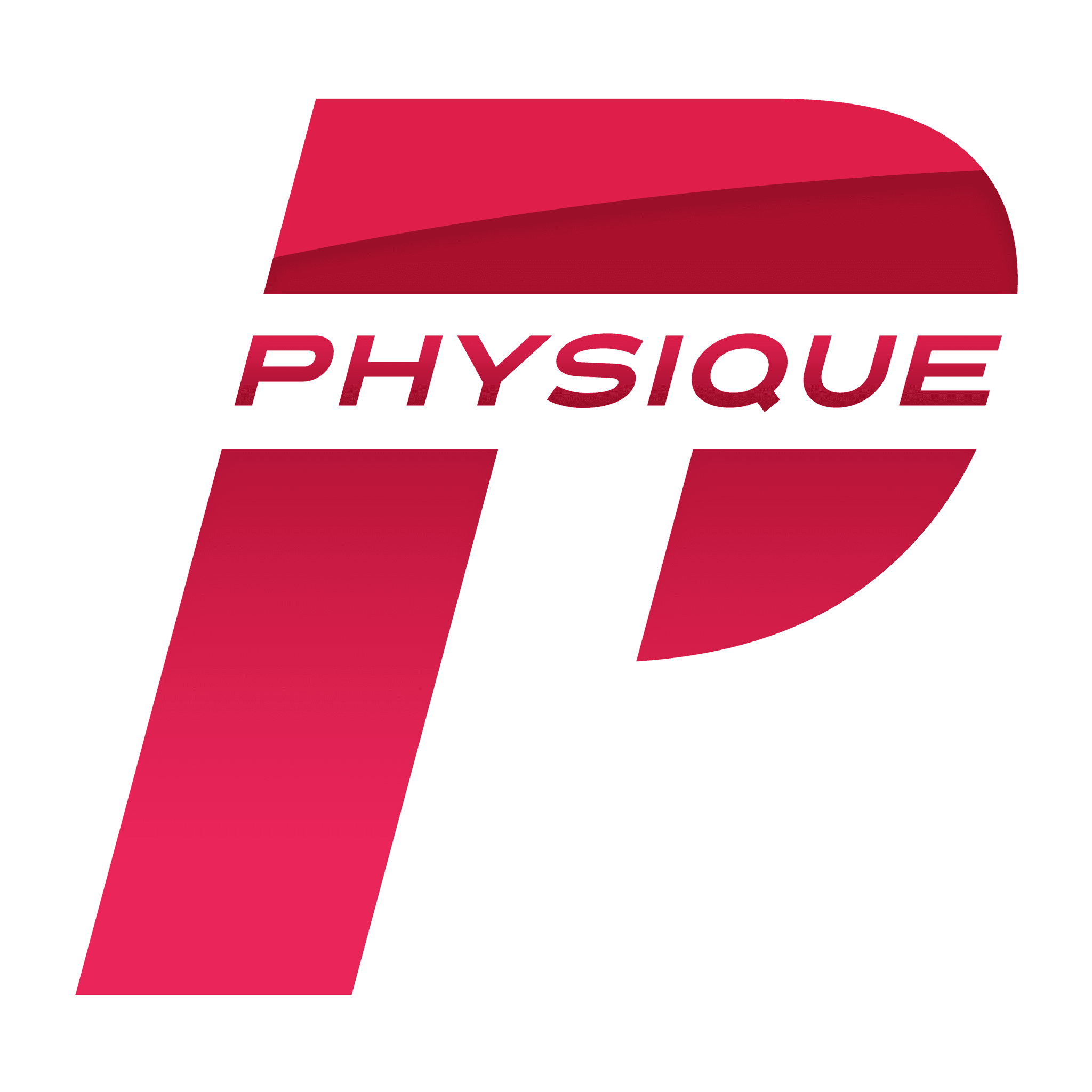 Physique Physical Therapy logo
