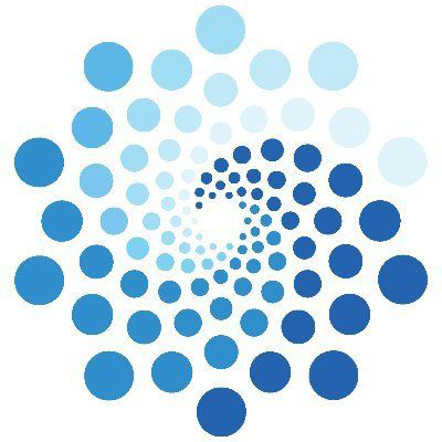 bodenvy logo