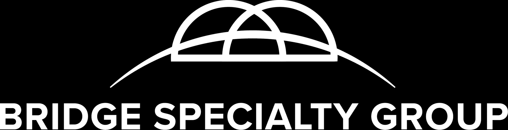 Bridge Specialty Group logo