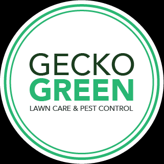 Gecko Green logo