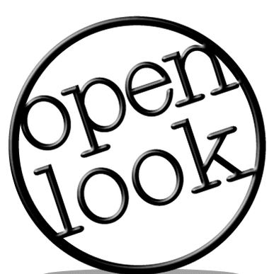 Open Look Business Solutions logo