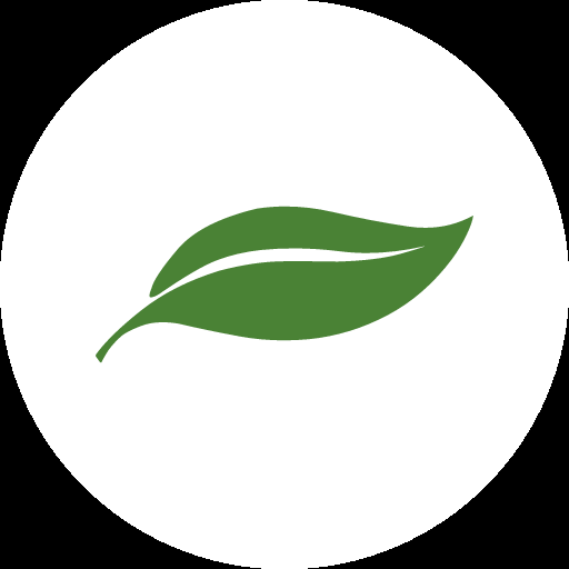 Anew Behavioral Health logo