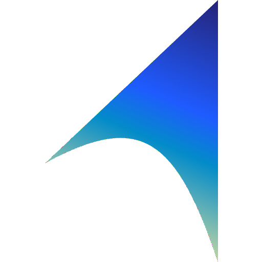 True North Insights logo