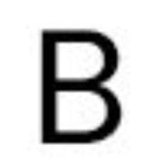 Boggs Recruiting logo
