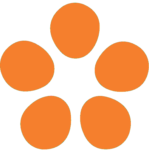 Mission Graduates logo